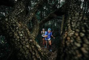 BIB: 
                            <button type="button" onclick="openModal(25678304)" class="btn btn-primary btn-sm float-right btn-popup" data-toggle="modal" data-target=".modal-high-quality">
                        <i class="fas fa-shopping-cart"></i> Add to Cart
                    </button>
                                            <button type="button" onclick="isThisMe(25678304, true)" class="btn btn-success btn-sm float-right btn-popup btn-isme hidden" data-toggle="tooltip" data-placement="bottom" title="นี่คือรูปของคุณใช่ไหม คลิกที่นี่เพื่อเอาเข้าอัลบั้ม">
                        <i class="fas fa-plus"></i> Add to album
                    </button>
                    <button type="button" onclick="isThisMe(25678304, false)" class="btn btn-warning btn-sm float-right btn-popup btn-isnotme hidden">
                        <i class="fas fa-ban"></i> Remove from album
                    </button>